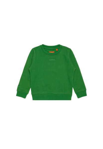 Kids Sweater &quot;mini-dude.&quot; mit Label-Stickerei - grün